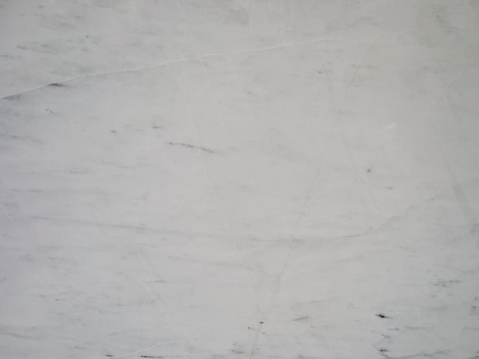 Алигударз белый — фото 4