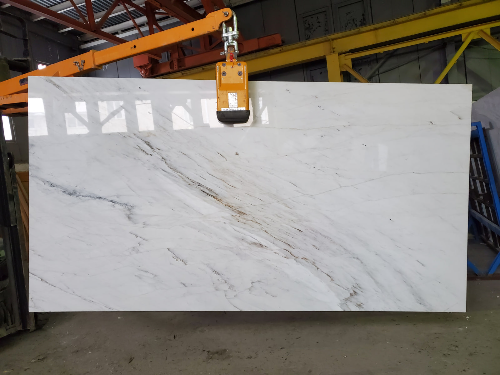 Алигударз белый — фото 5