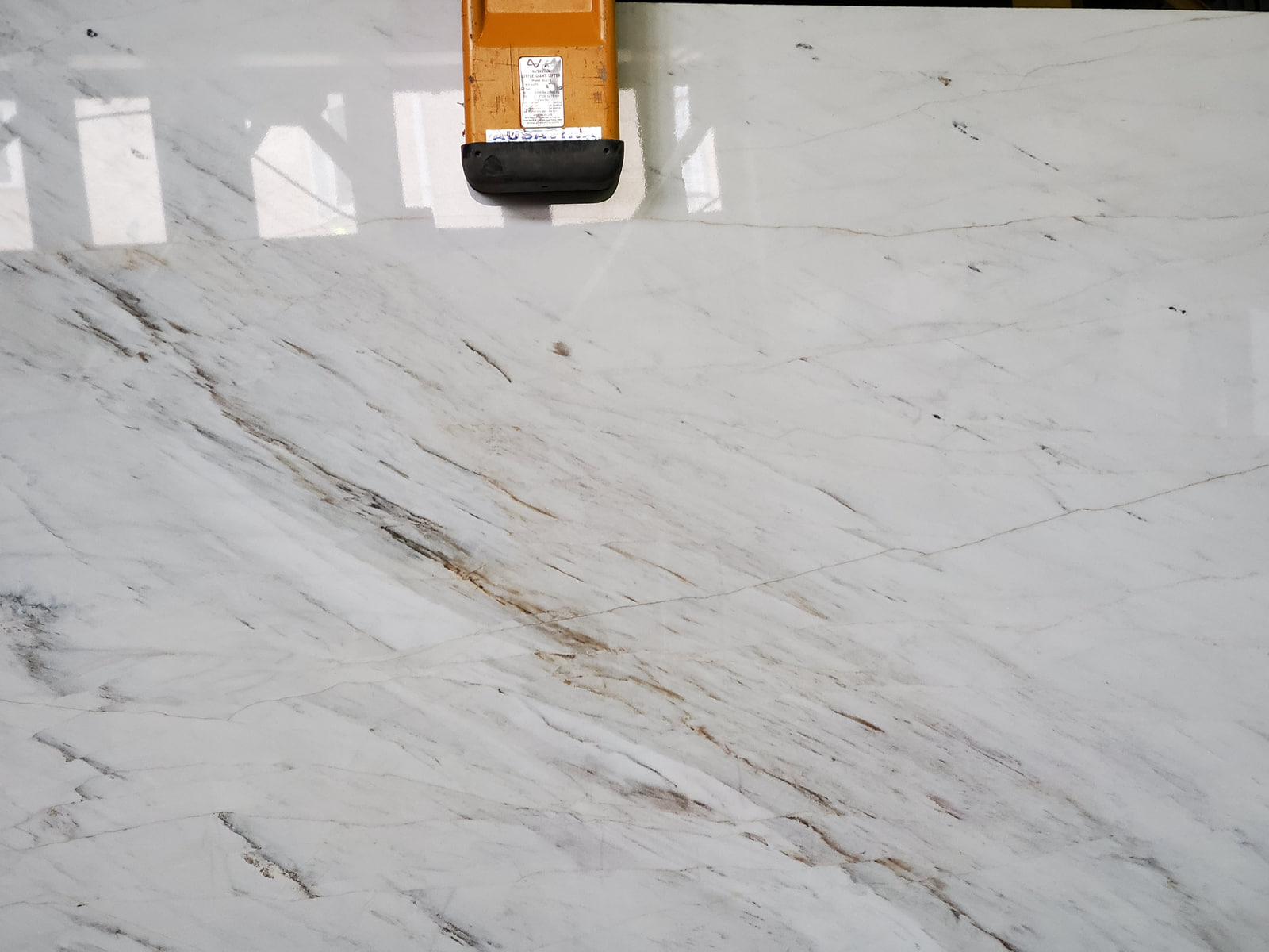 Алигударз белый — фото 6