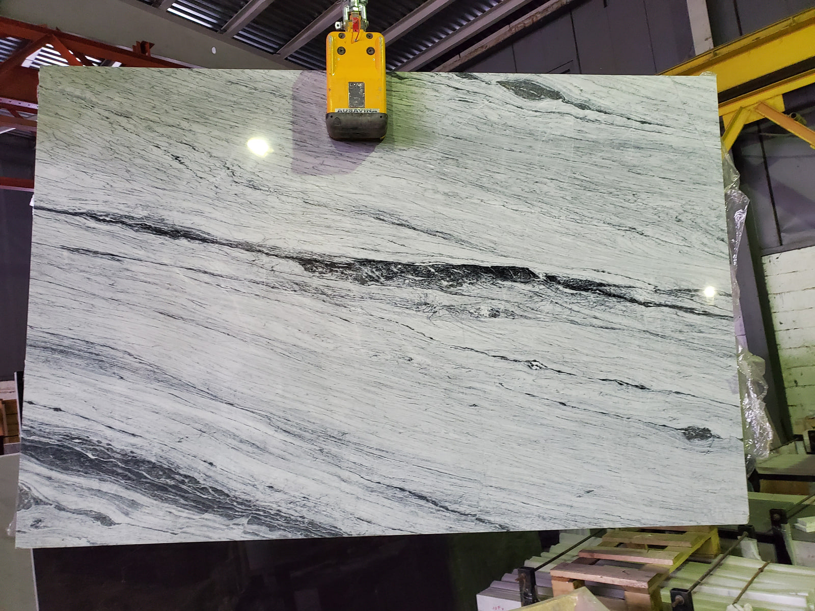 Алигударз серый — фото 1