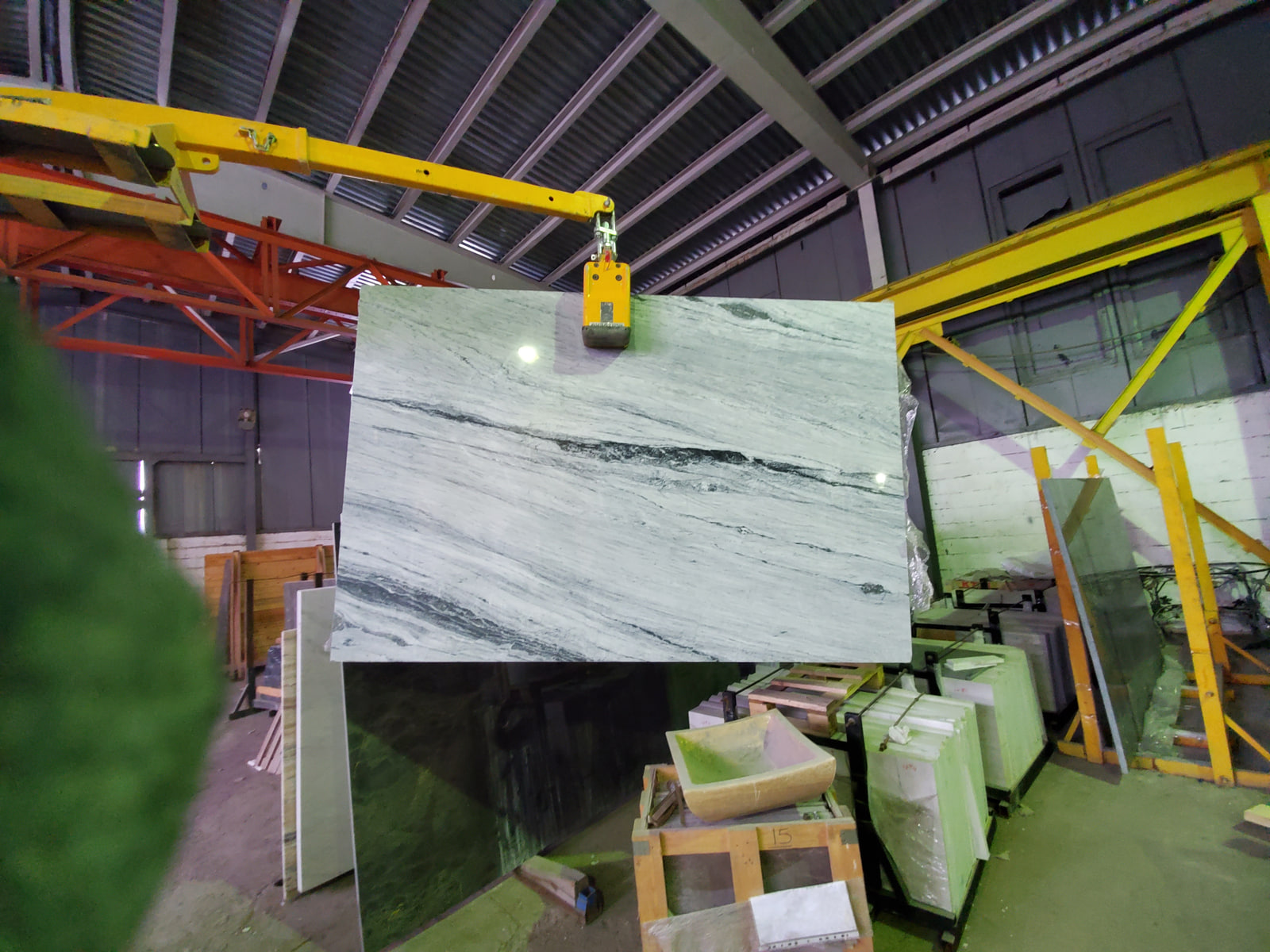 Алигударз серый — фото 2