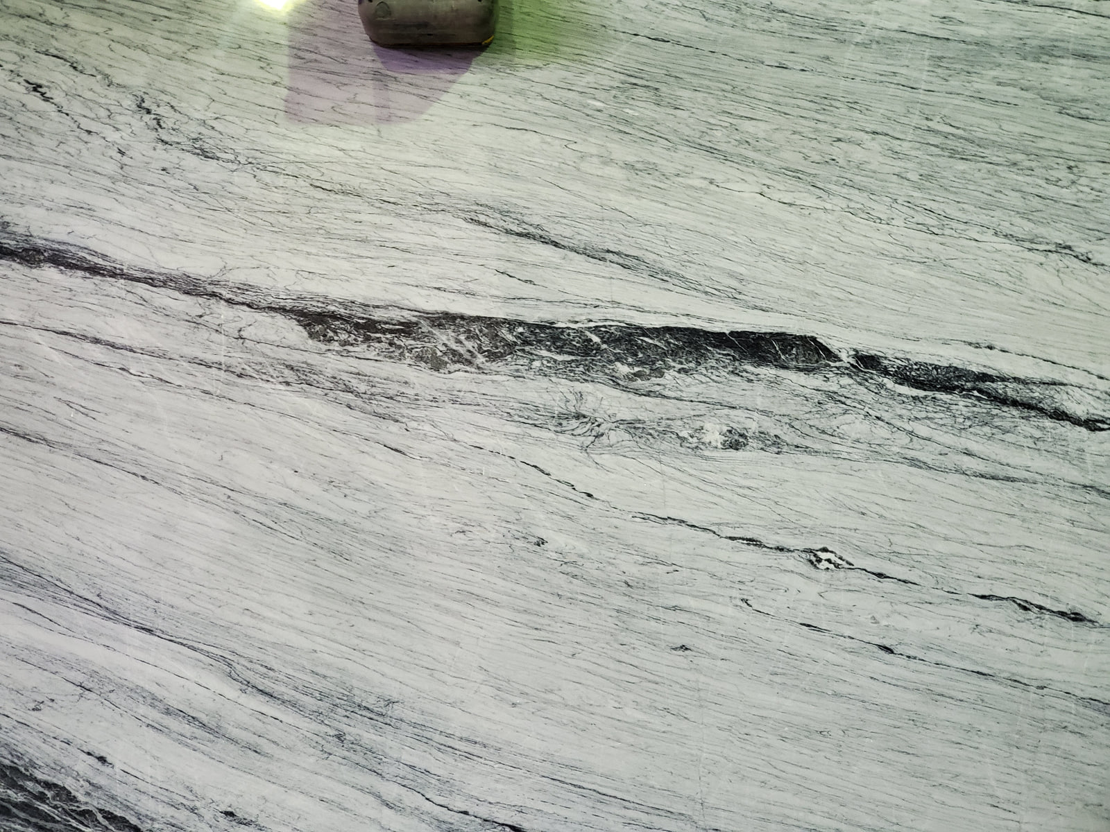 Алигударз серый — фото 3