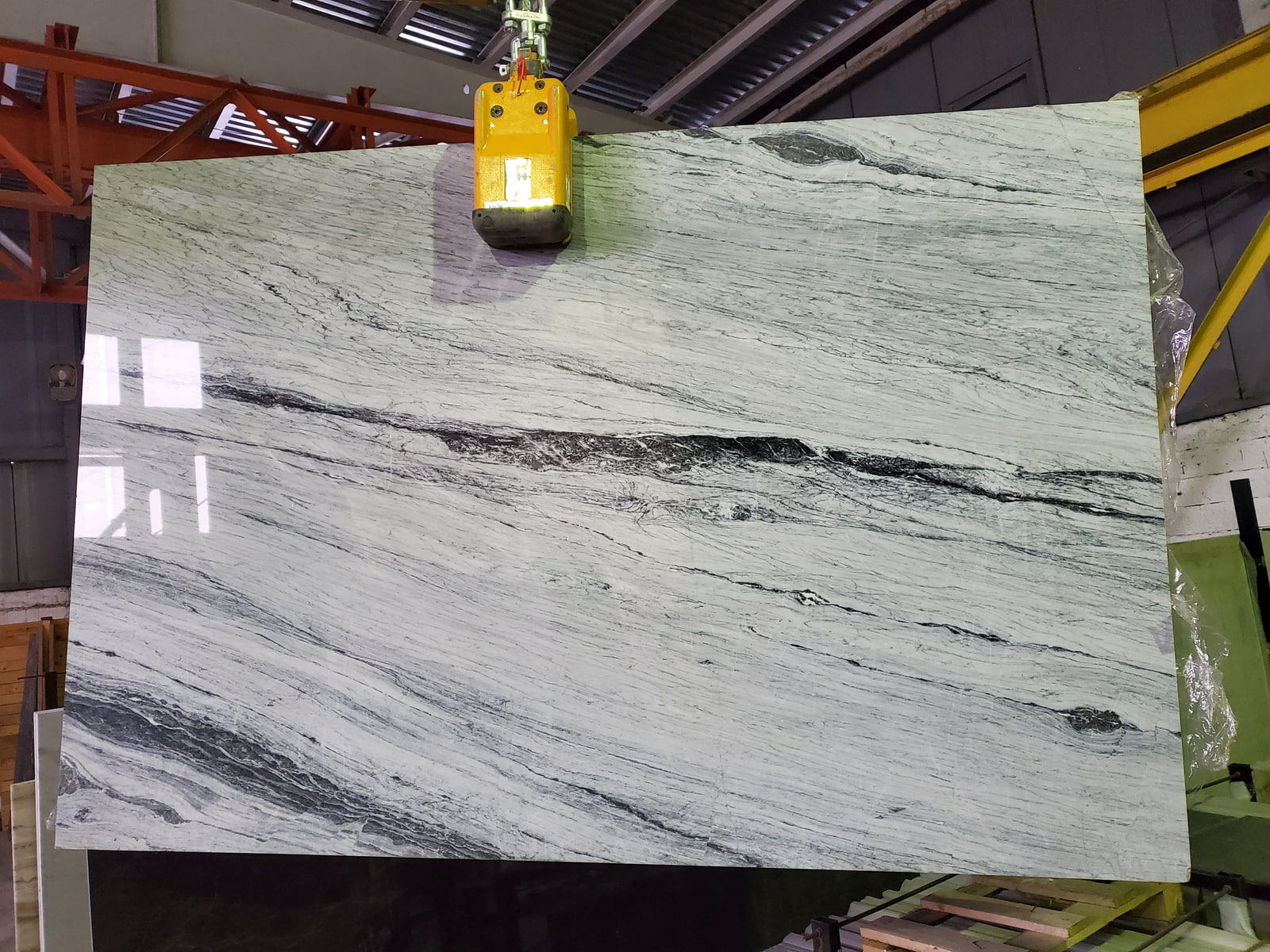 Алигударз серый — фото 4