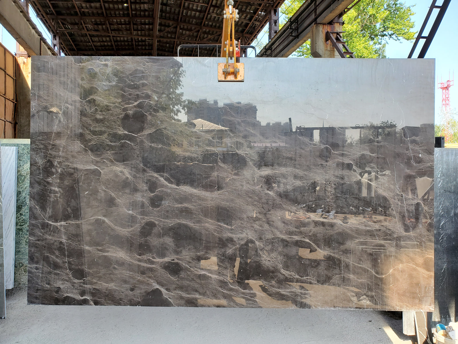 Браун спайдер — фото 3