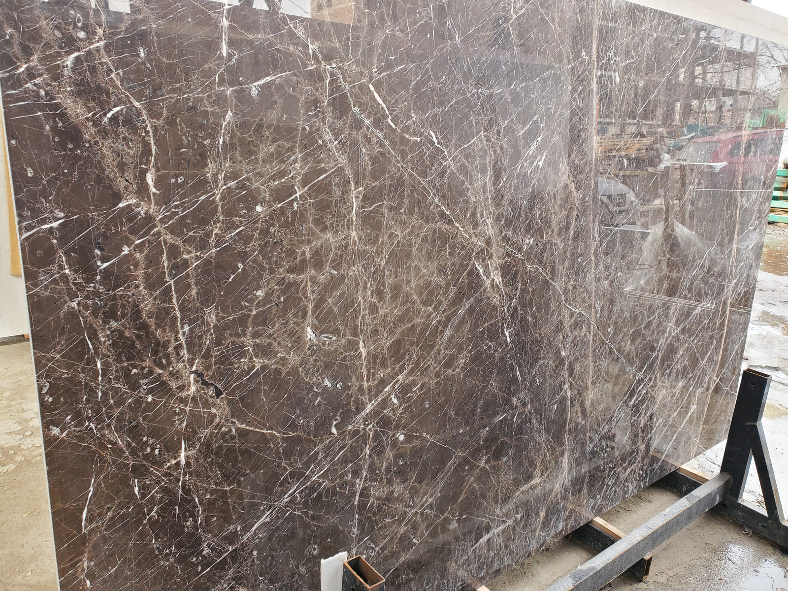 Голден браун — фото 2