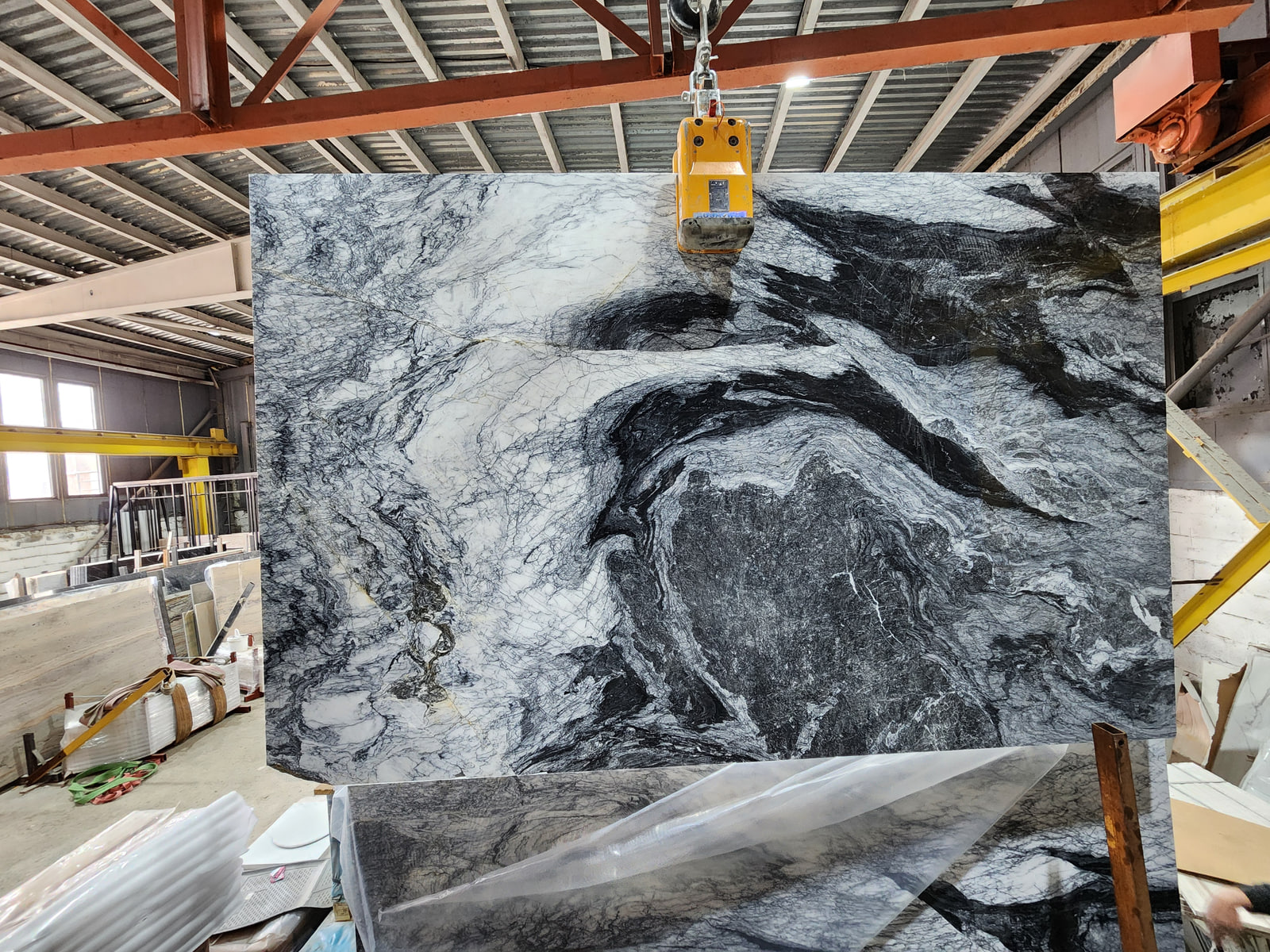 Панда В — фото 4