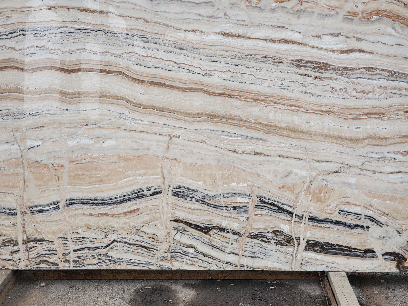 Траоникс — фото 2