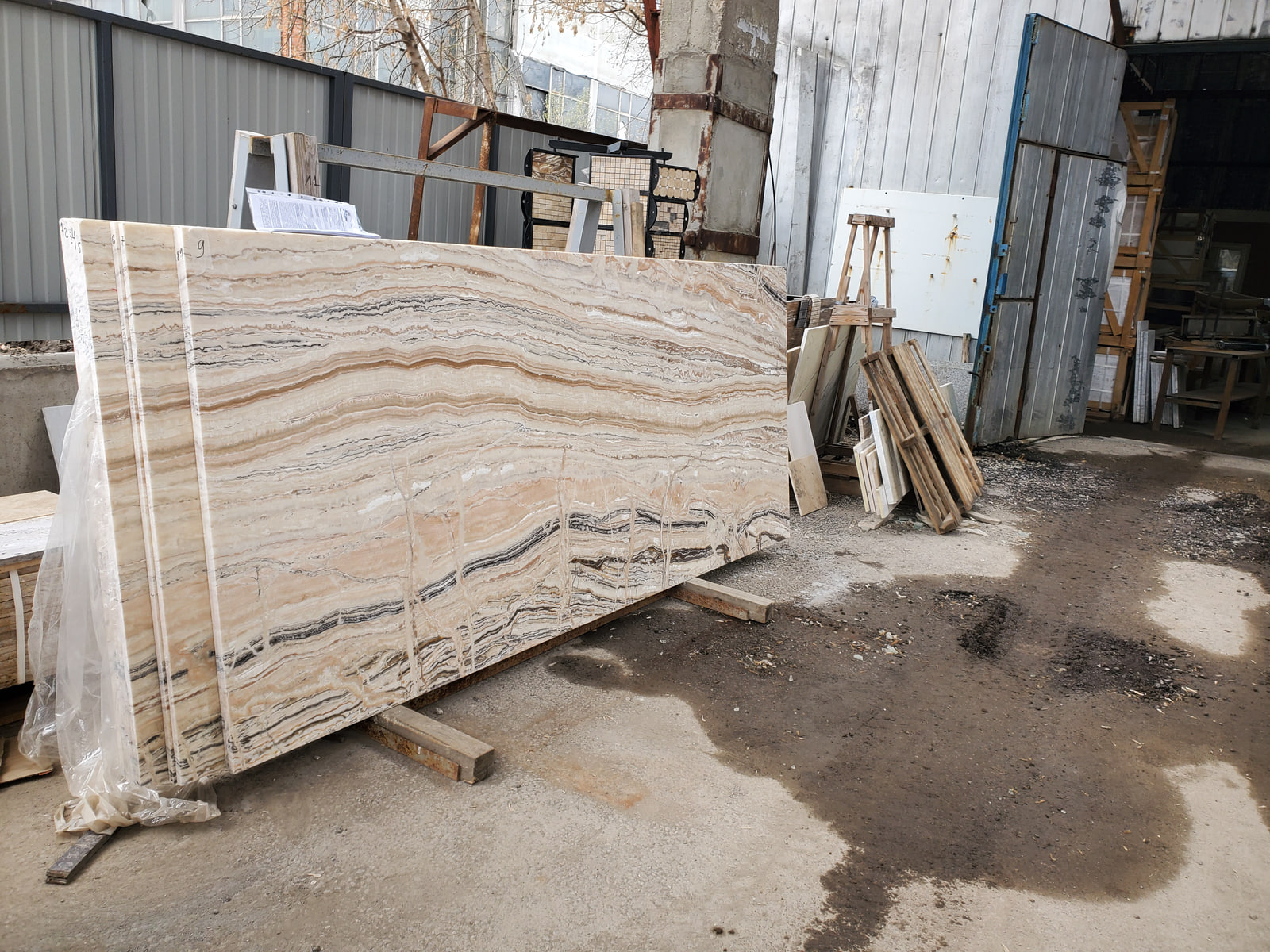 Траоникс — фото 3